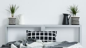 Dracena wonna - właściwości i uprawa w domu (WIDEO)