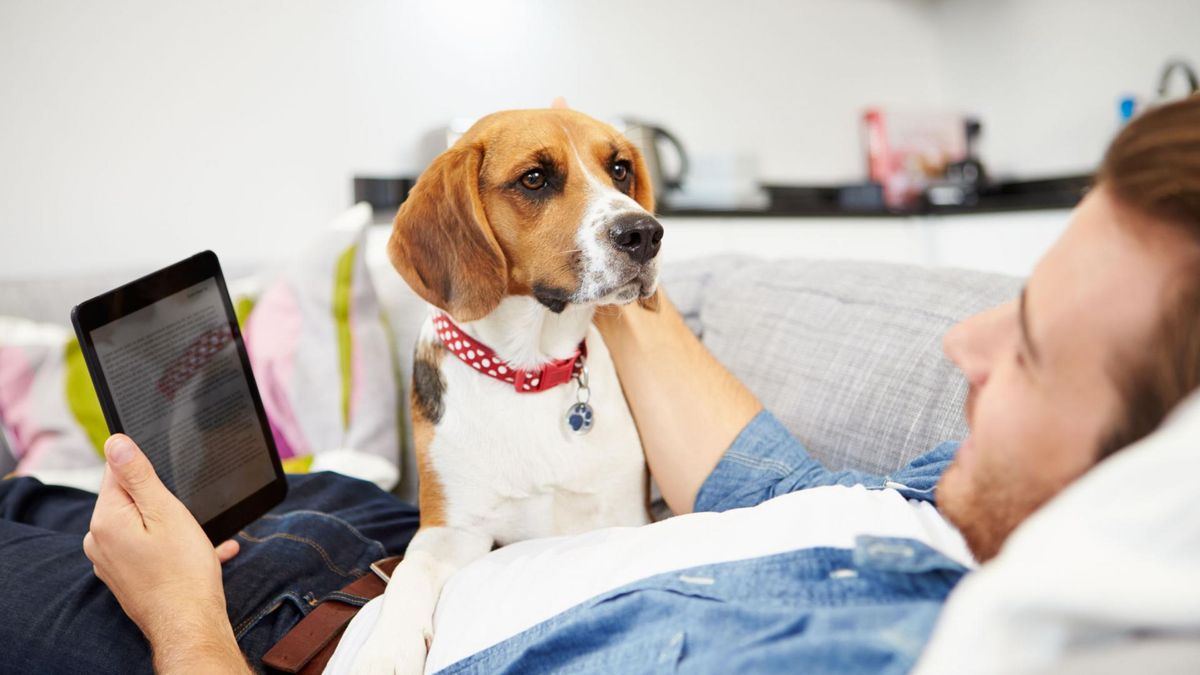 Osoby, które mówią do kotów i psów wykazują się dużą kreatywnością