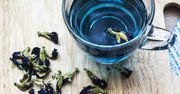 Właściwości Butterfly Pea Tea. Niezwykła niebieska herbata (WIDEO)
