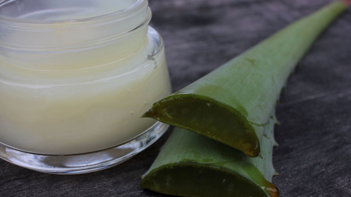 Krem do twarzy z aloesu doskonale nawilża