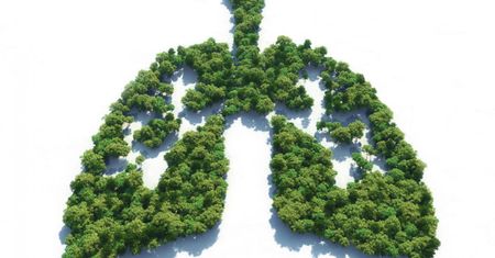 Pneumocystoza – przyczyny zakażeń, grupy ryzyka, objawy i leczenie