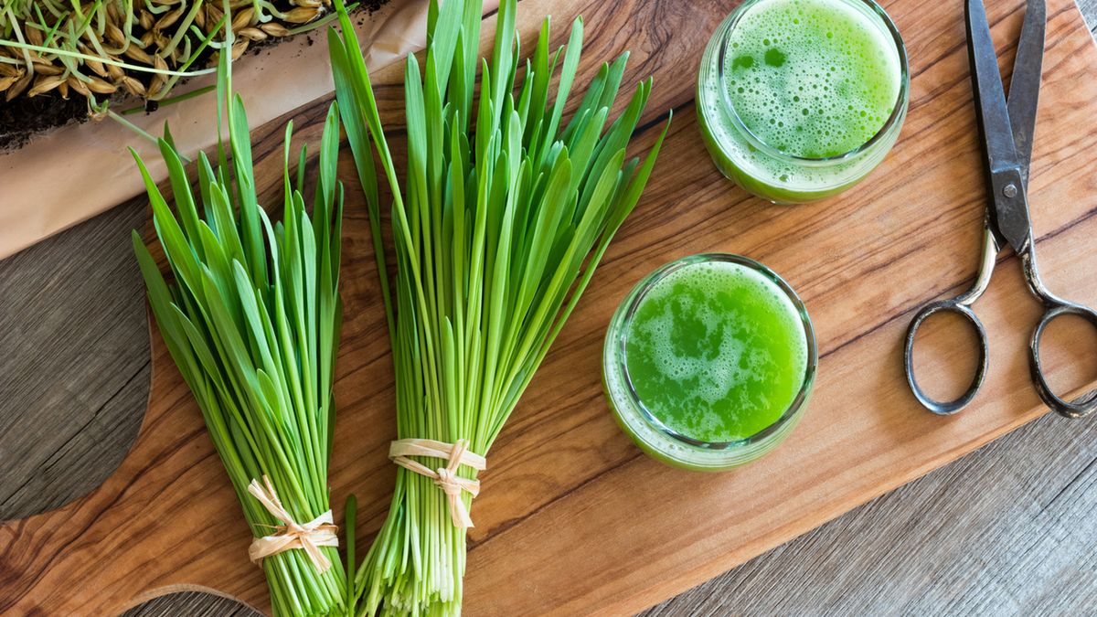 Chlorofil do picia to suplement diety, stosowanie którego przynosi organizmowi wiele korzyści.