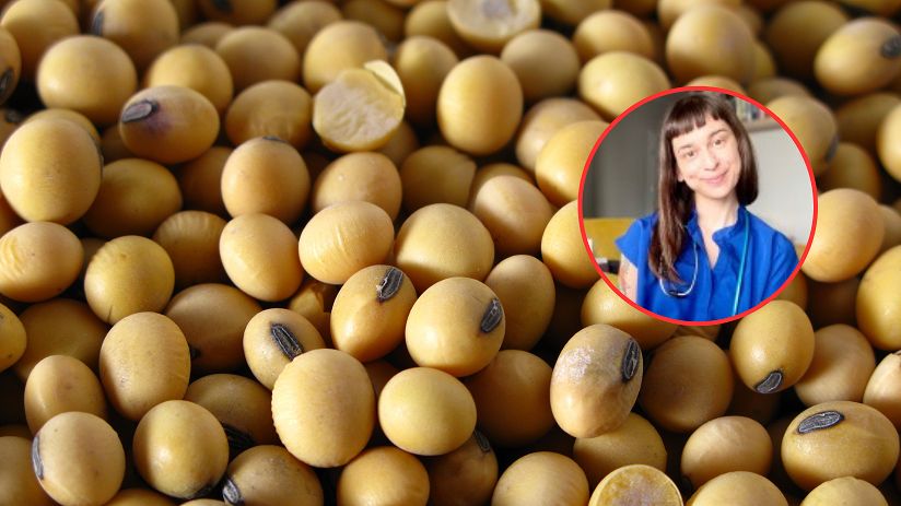 Zastąp mięso soją. Ryzyko zawału od razu spada