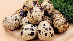 Czy są zdrowsze od jaj kurzych? Właściwości jajek przepiórczych