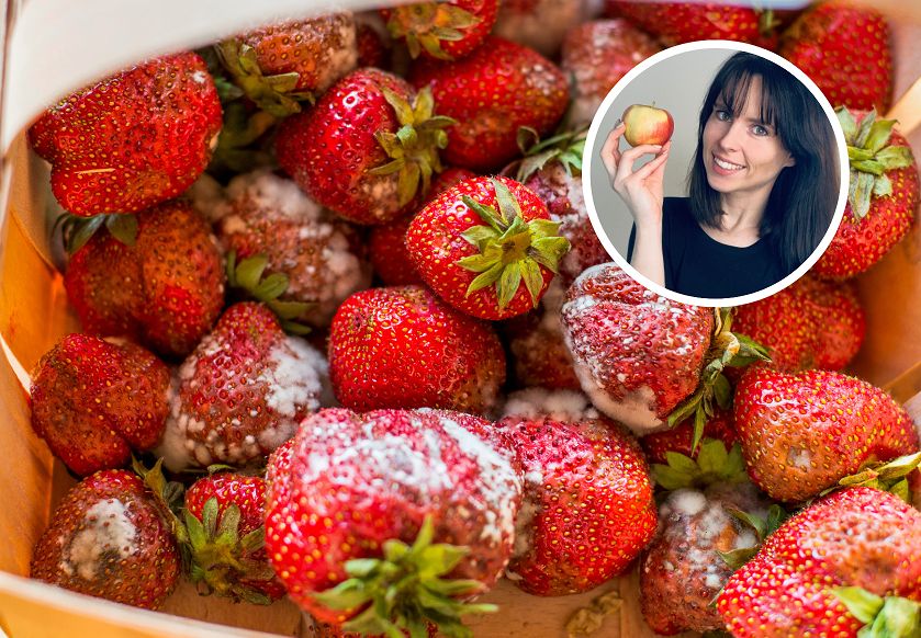 Są niezwykle toksyczne. Mogą uszkodzić nerki i wątrobę