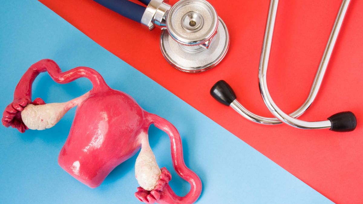 Histerosalpingografia