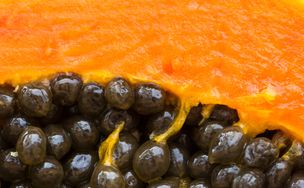 Pestki papai - ogromna moc w małych nasionach