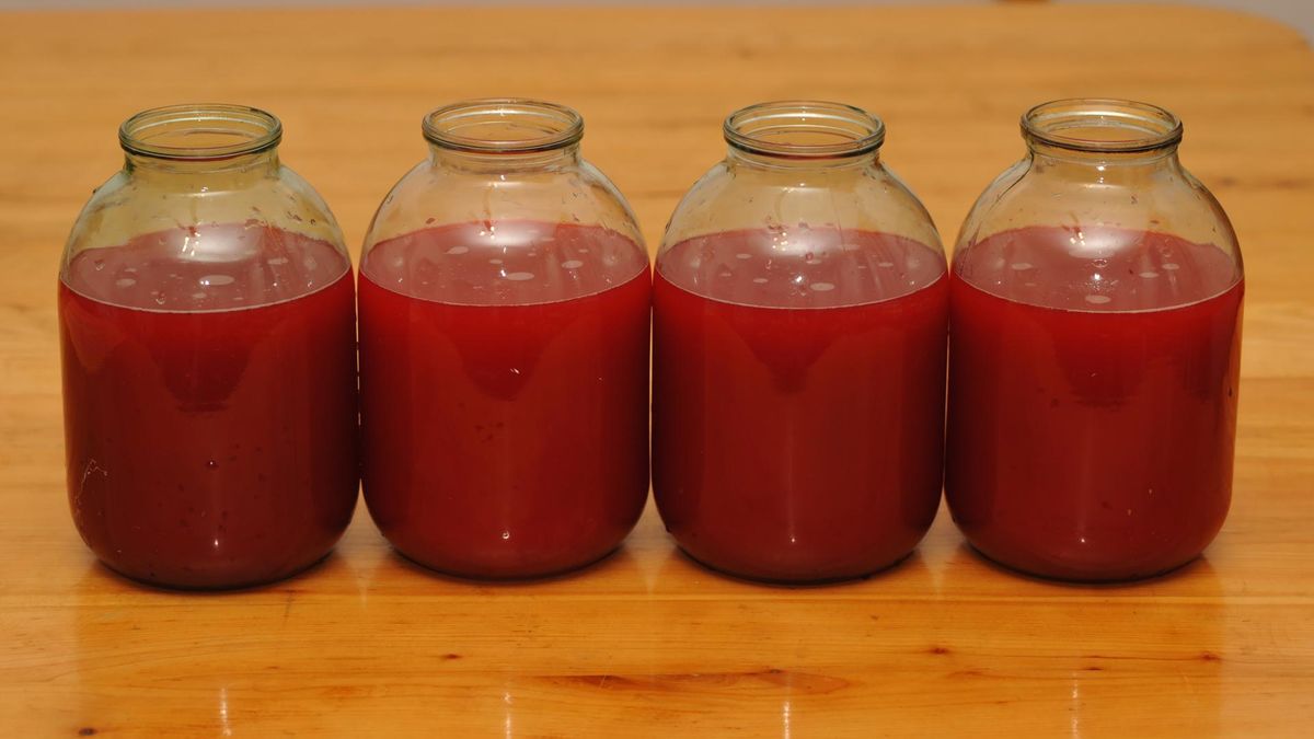 Syci, pobudza i nawadnia. Zastąp nim kawę, a efekty zauważysz od razu