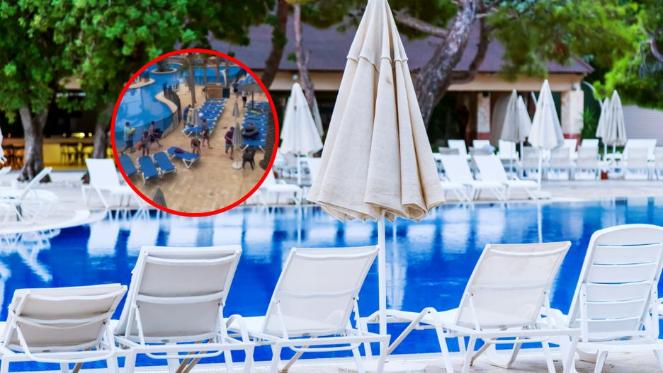 Najmłodszy "ręcznikowiec" na all inclusive. Filmik oburzył internautów