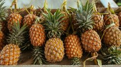 Ananas jadalny - wygląd, właściwości i zastosowanie