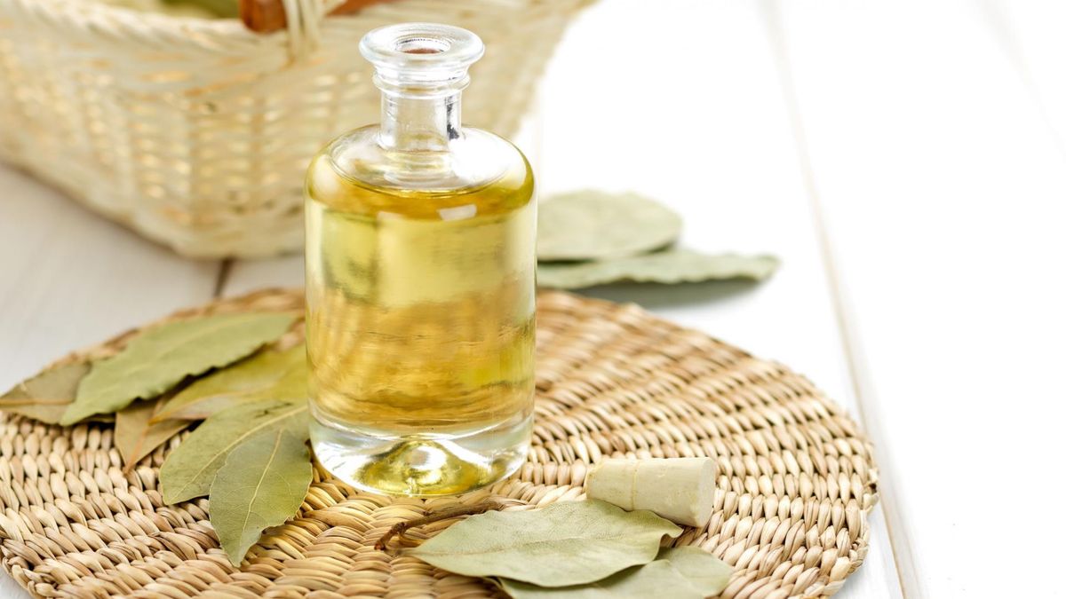 Liście laurowe mają szereg właściwości prozdrowotnych