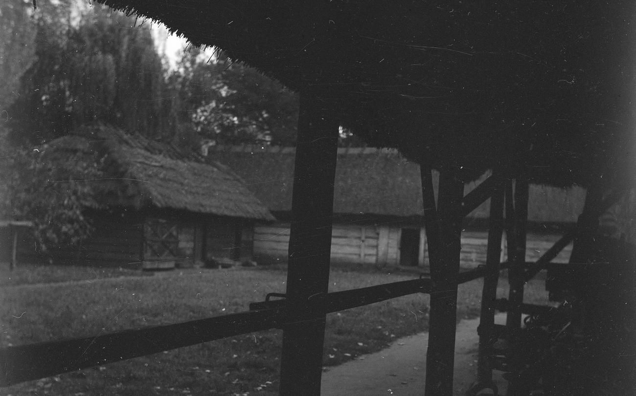 Dziewczyny znalazły schronienie w stodole tkniętej złym przeczuciem wieśniaczki. Ilustracja poglądowa 