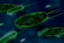 Bakterie czyhają na nas wszędzie. Jak skutecznie z nimi walczyć?
