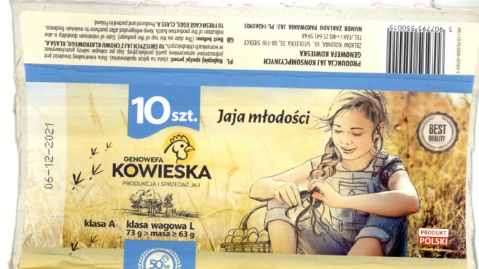 GIS ostrzega. Wykryto salmonellę w popularnych jajkach