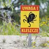W Polsce nie ma już bezpiecznych miejsc. Wzrasta liczba ciężkich przypadków