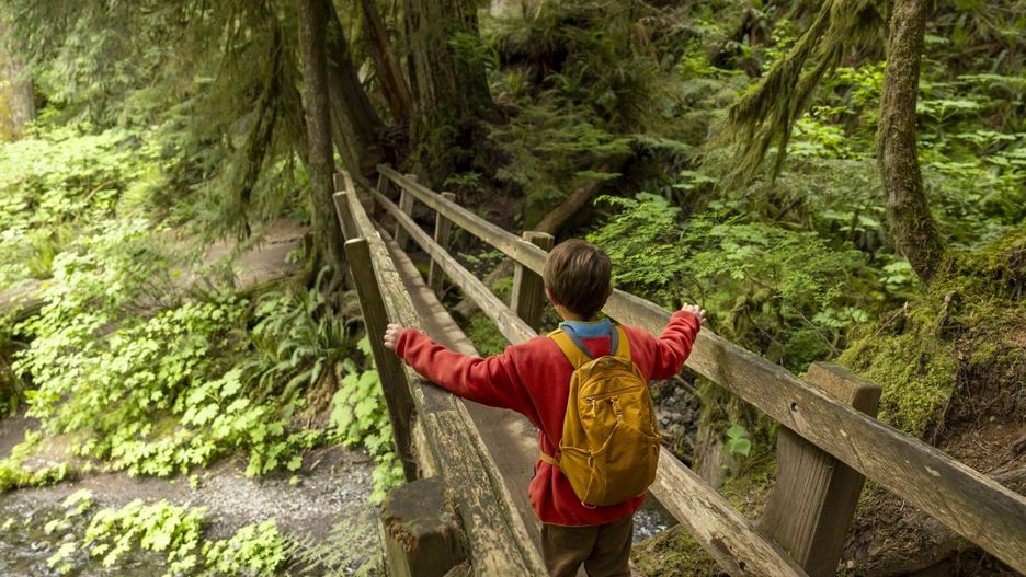 Chłopiec powiedział, że jego mama "poszła dalej na wyciąg, i wchodzi na szczyt, kazała mu tu czekać, będzie za parę godzin"