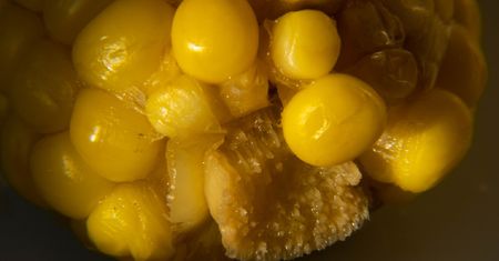 Bogactwo witamin z grupy B. Pomaga utrzymać cholesterol w ryzach, wzmacnia kości i zęby