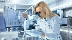 Choroby spichrzeniowe - definicja i podział