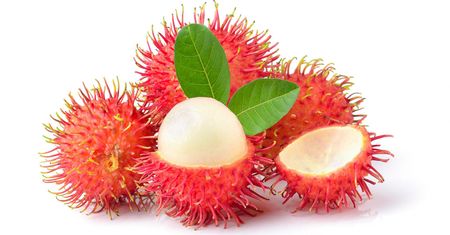 Jagodzian rambutan –  wygląd, smak i właściwości zdrowotne