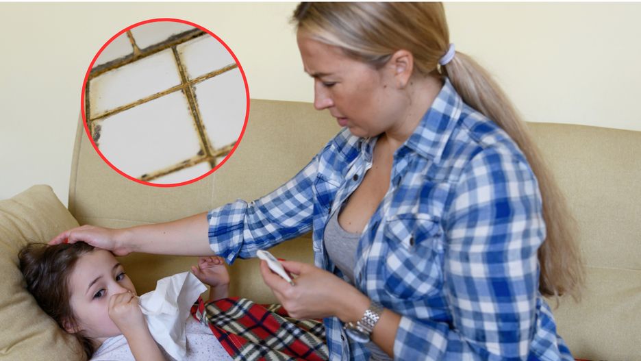 Pleśń może stanowić zagrożenie dla zdrowia