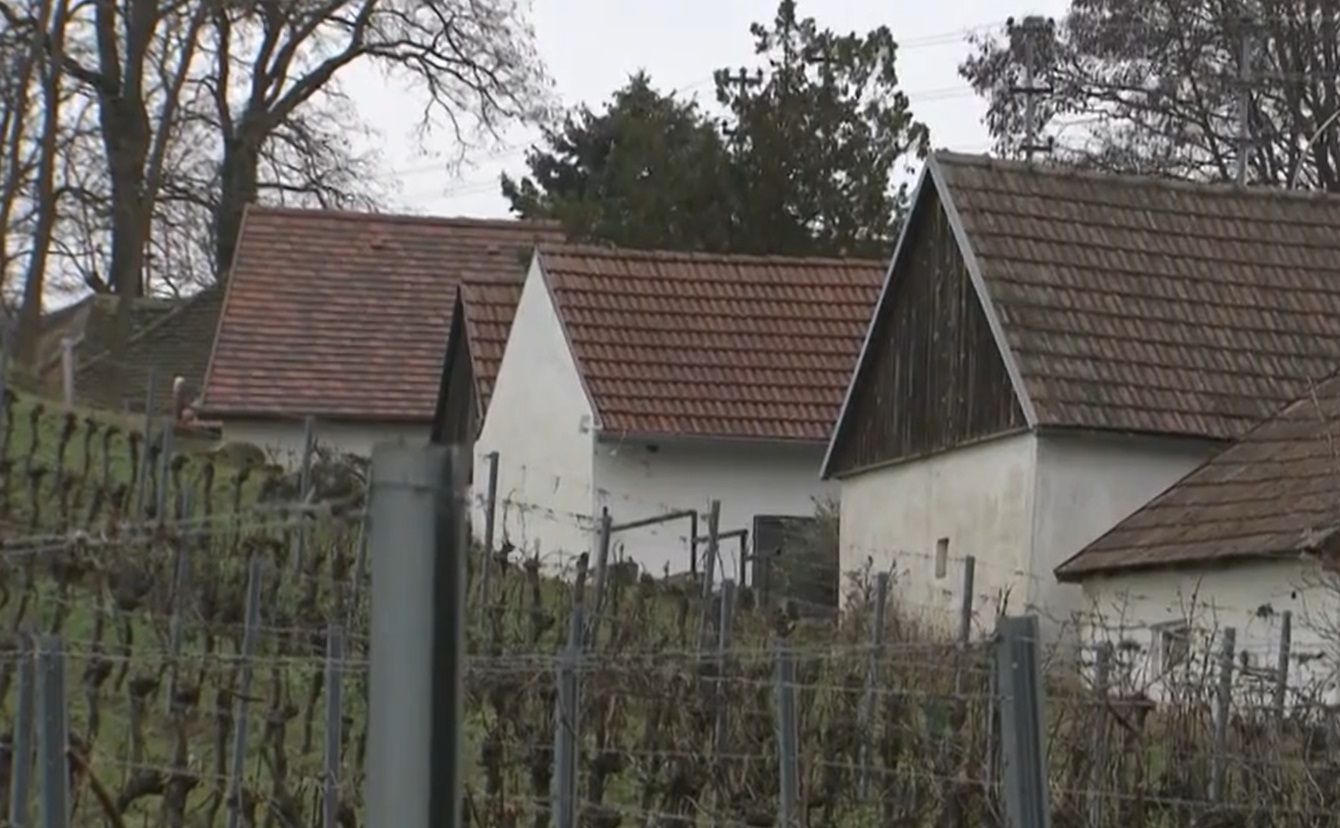 Dzieci żyły w piwnicy starej winnicy