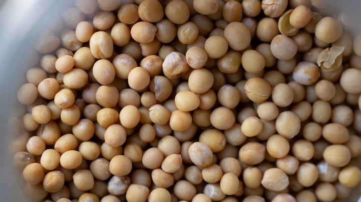 Odchudzasz się na lato? Koniecznie wprowadź do diety nasiona