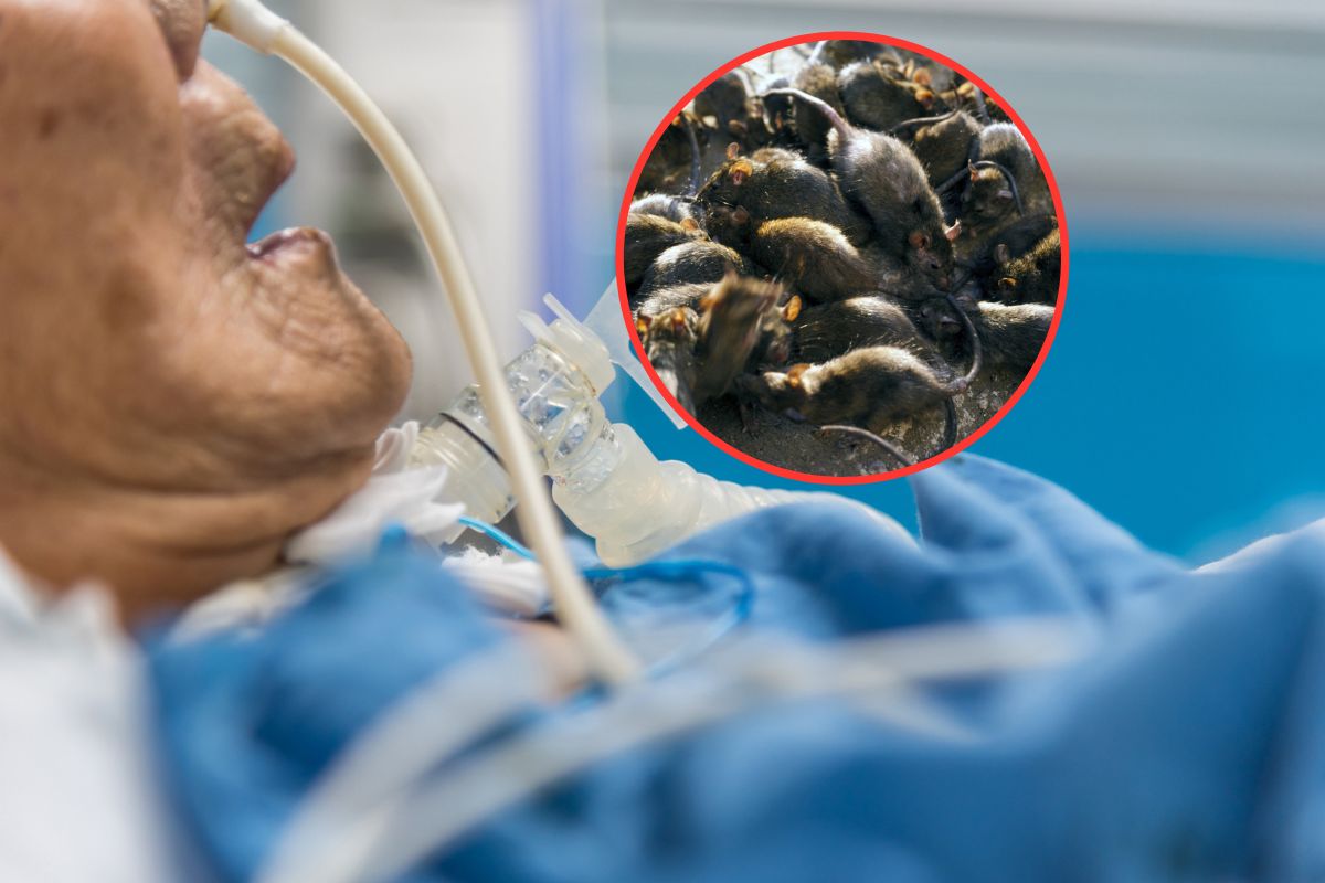 Dżuma płucna zabiła pacjenta z Arizony