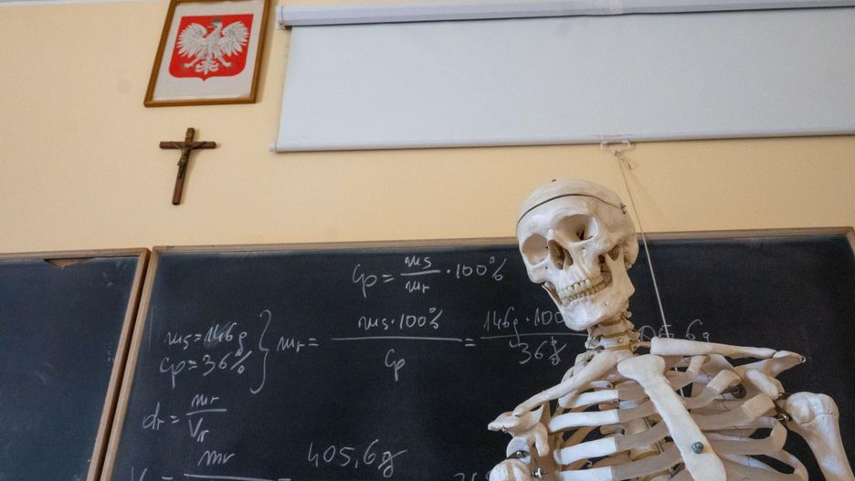 Nauczyciele napisali do MEN-u. Skarżą się na marginalizowanie edukacji przyrodniczej