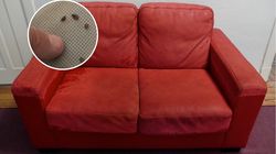 Lepiej ich nie kupować. "Pluskwy, karaluchy i pleśń"