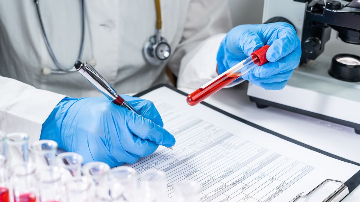 Trombocyty (płytki krwi) biorą udział w procesach krzepnięcia.