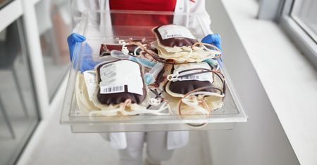 Pozytywnie wpływa na krew i zmienia jej skład. Ważna jest regularność