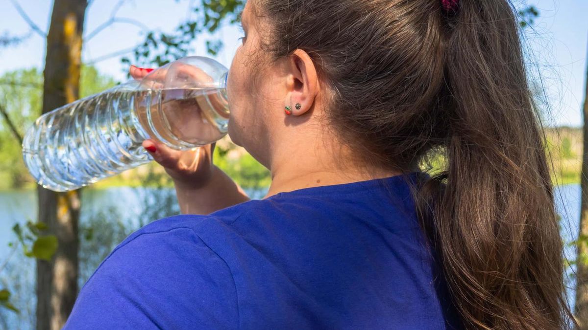 Bisfenol A obciąża nerki i wątrobę, sprzyja zaburzeniom metabolicznym