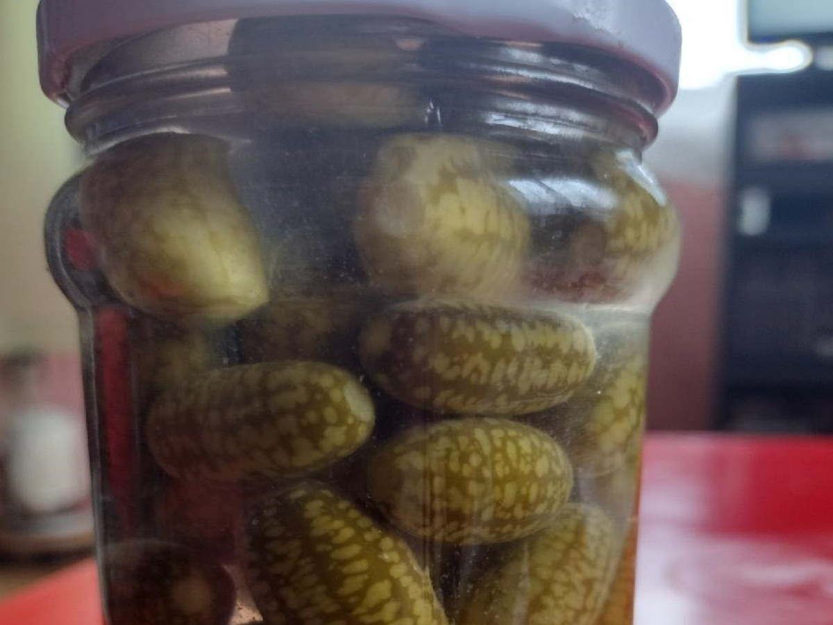 Przypomina miniaturowego arbuza. Mysi melon pomoże w walce z wrzodami, zaparciami, a nawet groźnym rakiem