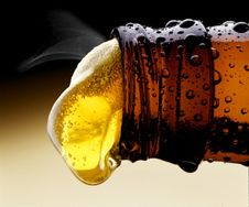 Piwo jest szkodliwe dla zdrowia. Sprawdź, czym grozi spożywanie