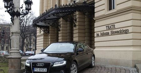 Dwudrzwiowe dzieło Waltera de'Silvy