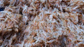 Przysmak z PRL-u. Źródło białka i witamin