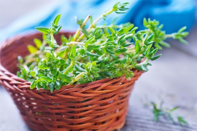 Tymianek działa przeciwzapalnie i odkażająco