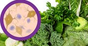 Warzywa zielone przyczyną Alzheimera? Nadmiar żelaza szkodzi mózgowi człowieka