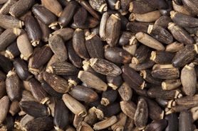 10 produktów, które uratują twoją wątrobę