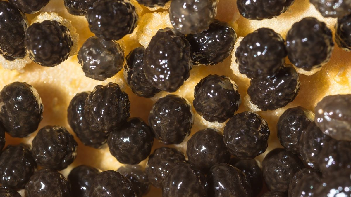 Ten nietypowy trend może więcej zaszkodzić, niż pomóc