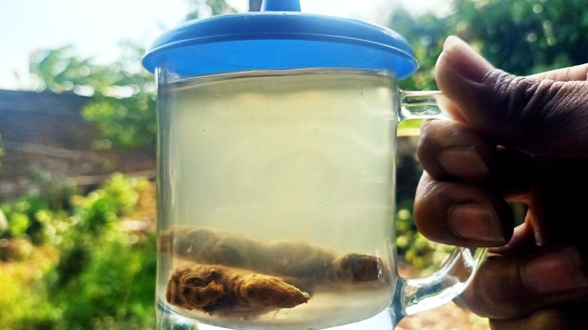 Przejedzenie można pokonać bez leków. Wystarczą zioła, które masz już w kuchni