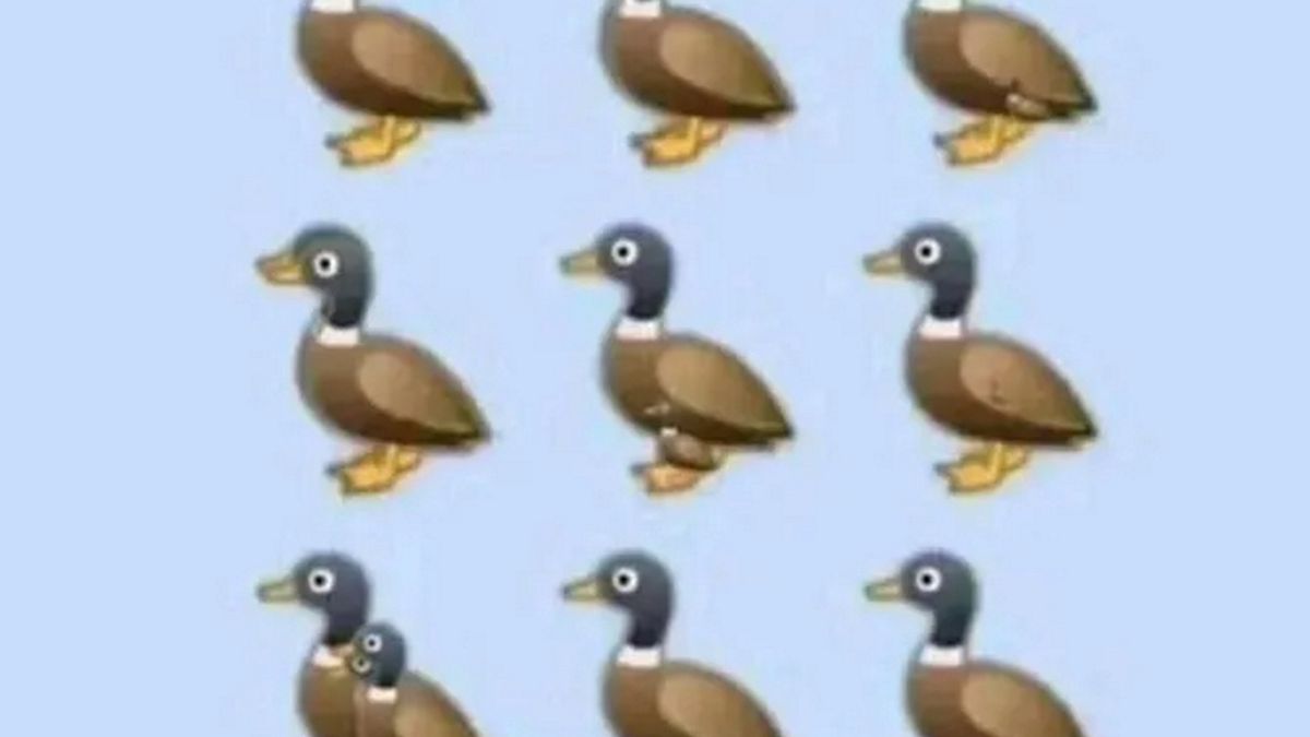 Zagadka z kaczkami. Ile ich widzisz?