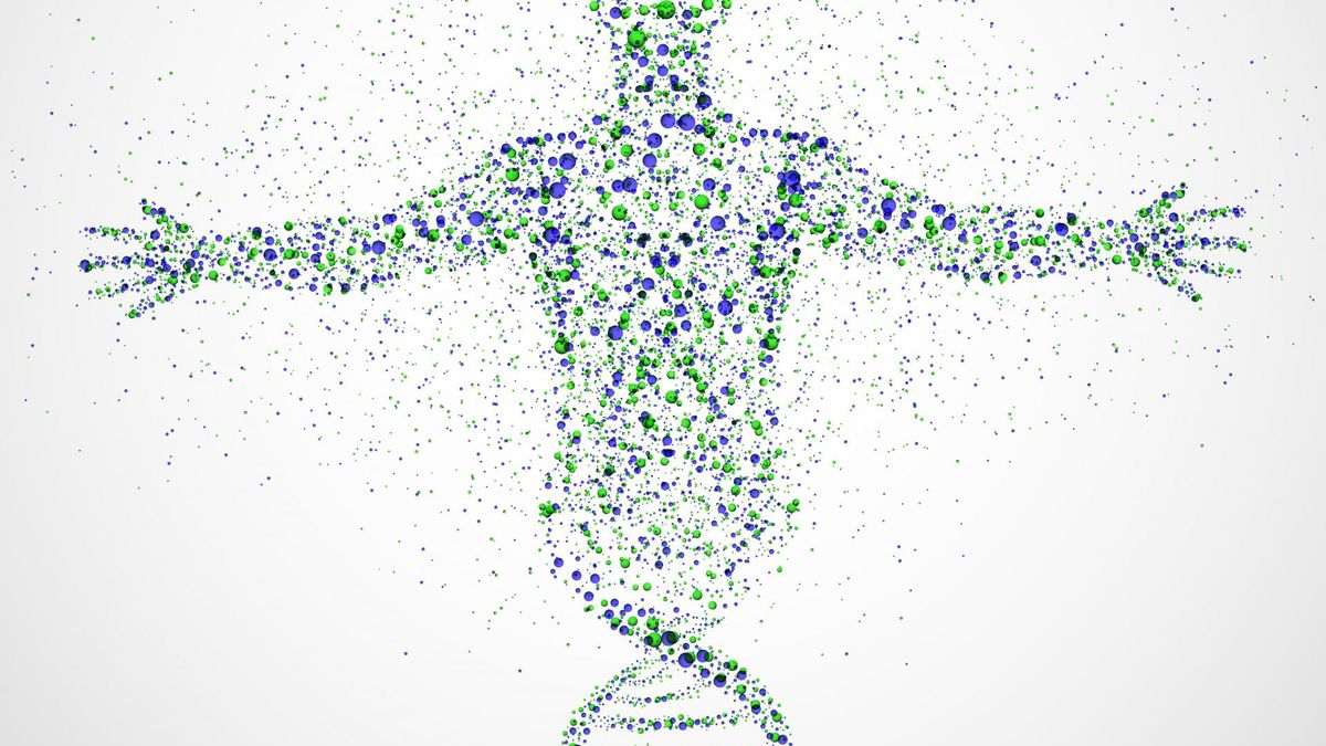 Genodieta – definicja, zdrowie i figura, praktyka