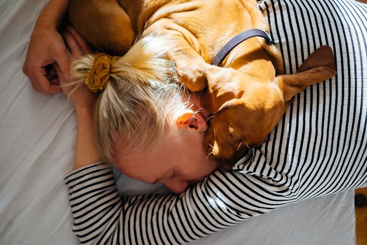 Dlaczego pies zasypia przy głowie właściciela? Ma ku temu ważny powód