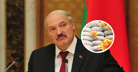 Łukaszenka był zakażony adenowirusem? Infekcja może doprowadzić do zapalenia mózgu