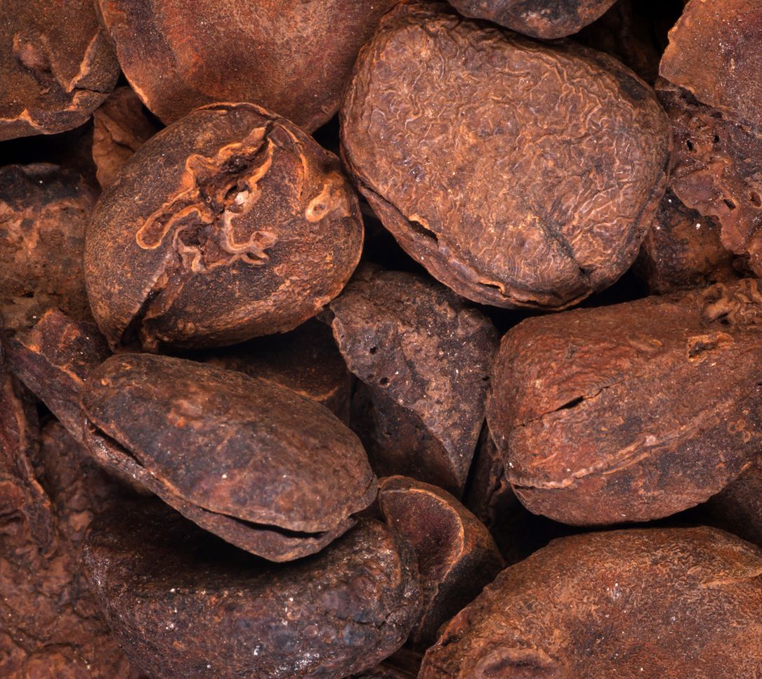 (iStock) Najczęściej orzechy kola wymieniane są jako produkt pobudzający i dodający energii