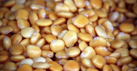 Reguluje cholesterol i pomaga schudnąć. Cenne w profilaktyce raka jelita grubego
