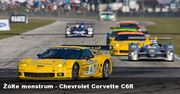 Żółte monstrum - Chevrolet Corvette C6R