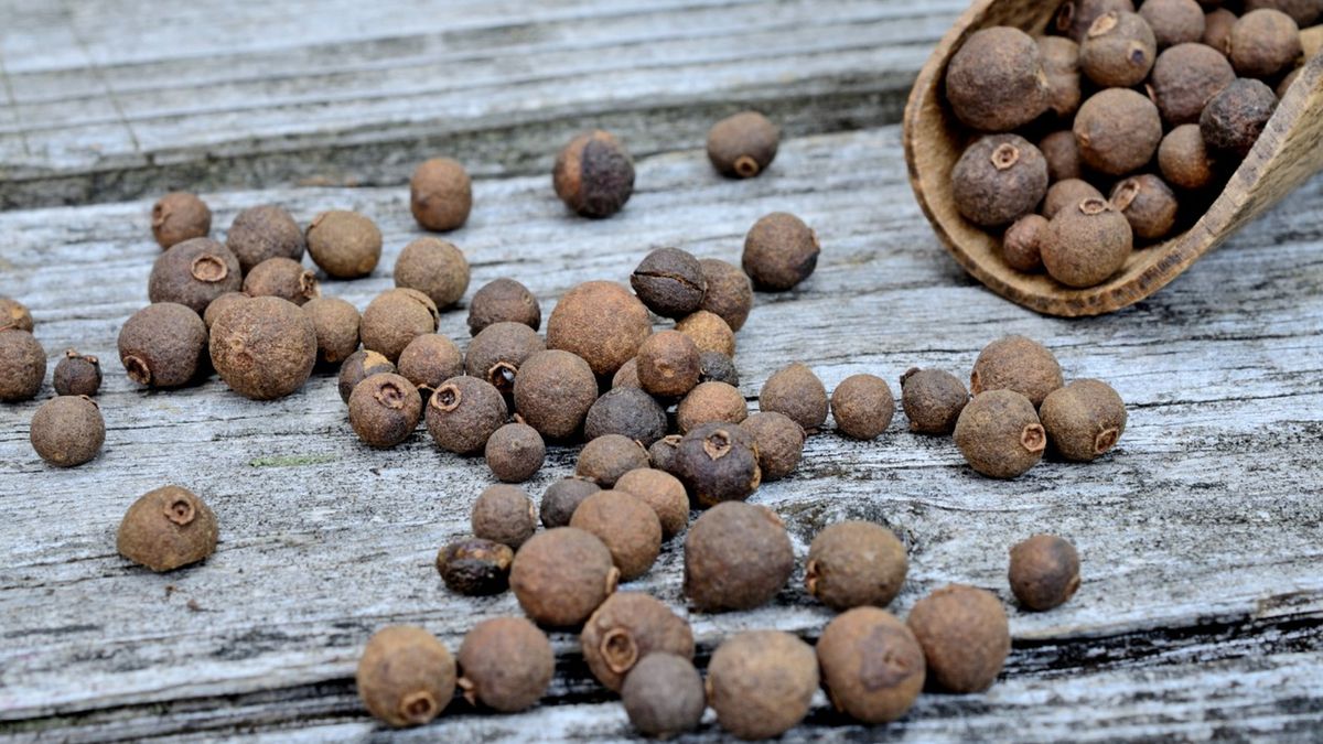 Napar z korzennika lekarskiego wspomaga trawienie i przeciwdziała wzdęciom.