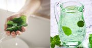 Woda z bazylią. Zobacz, dlaczego warto ją pić (WIDEO)